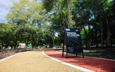 LA GRAN MARATÓN COSTA RICA CONVIERTE ELESFUERZO DE MILES DE CORREDORES EN UNLEGADO PERMANENTE PARA EL PAÍS